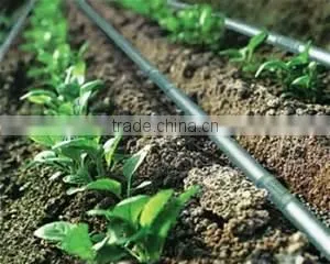 Farm Irrigation Drip Tape for Agriculture Watering 0.2mm Wall Thickness thumbnail-1