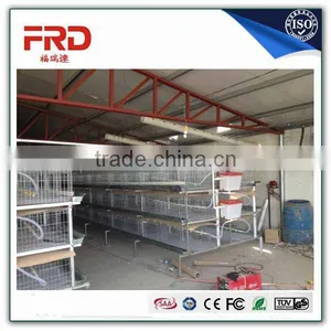FRD Wholesale Cheap Welded Wire Poultry Farm Layer Chicken Egg Cages(A Type & H Type Layer Chicken Cage) /design Layer Chicken c thumbnail-4