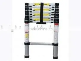 Folding Ladder thumbnail-1