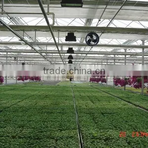 Used Commercial Greenhouses thumbnail-1
