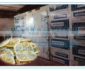 2016 Professional Fruit Drying Equipment thumbnail-1