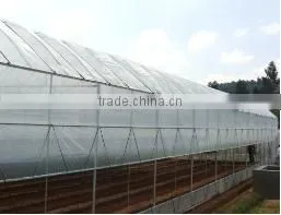 Tunnel Greenhouse for Flowers thumbnail-4