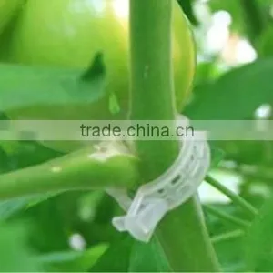 Good Qualiyt Plastic Clip Tomato Clip 23mm For Hanging Types Plants thumbnail-2