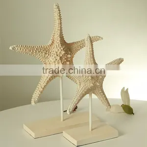 Custom Home Decor Art Artificial Starfish Statue thumbnail-5
