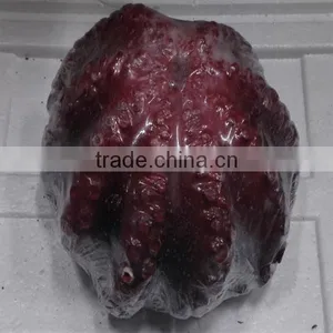 Frozen Octopus Cheap Price From Superior Factory thumbnail-1
