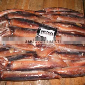 High Quality Frozen Whole and Round Illex Squid 200-300g thumbnail-1