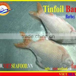 FROZEN W/R RED TAIL TINFOIL BARB thumbnail-4