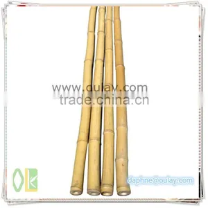 Backyard Scape in Bamboo Cane ,bamboo Poles Wholesale thumbnail-1
