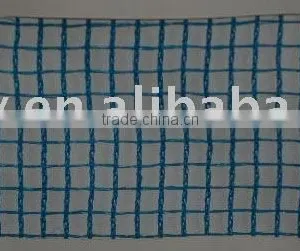 Olive Net thumbnail-1