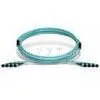 FTTH TIA-604-5 MPO Fiber Optic Patch Cord Male Connector , Cable Assemblies thumbnail-1