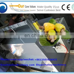 Automatic Cashew Nut Kernels and Shells Separator Machine/cashew Nut Shelling Machine/cashew Nut Processing Machine thumbnail-4