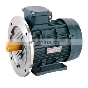 Factory Directly Sell y2 90l 4 Three Phase Motor thumbnail-6