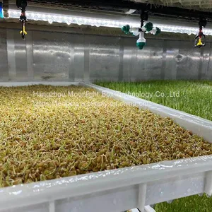 40HQ Hydroponic Fodder System Container Farmhydroponic Growing Systems Shipping Container Hydroponic System thumbnail-4