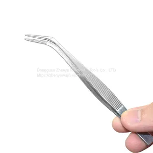 Stainless Steel Straight Head Round Head Elbow Fleshy Lengthening Toothless Large Size Dressing Long Tweezers thumbnail-1