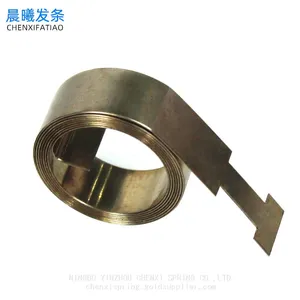 Stainless Steel Constant Force Spring for Boosters Fittings thumbnail-5