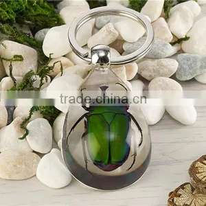 Real Bug Flower Sea Horse Scorpion Wholesale Key Chain Rope thumbnail-1