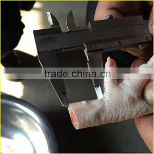 Chicken Feet Divider / Chicken Feet Splitting Machine / Chicken Feet Cutter Quality Choice thumbnail-6