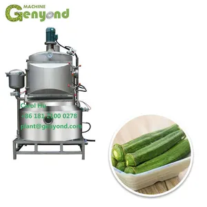 Small Fruit and Vegetables Okra Carrot Vacuum Frying Machine Malaysia thumbnail-1