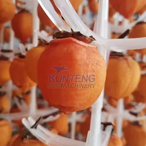 Industrial Fruit Washing and Drying Machine Dryer for Persimmon Resin Dryer Macadamia Nuts Cashew Nut Drying Oven Machine EPC thumbnail-3