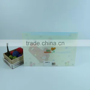High Quality Hard Plastic File Folder, File Folder Carrying Case, Plastic Document Holder thumbnail-2