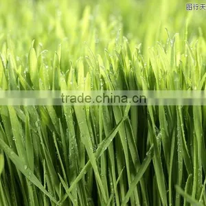 Super Absorbent Polymer Powder for Agriculture Planting thumbnail-6