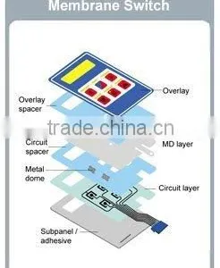 Numeric Keypad thumbnail-1