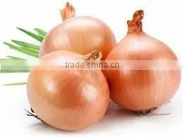 Organic Fresh Onions thumbnail-1