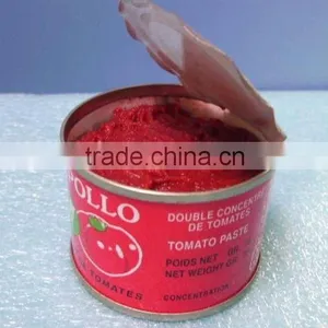 198g Canned Tomato Paste thumbnail-1