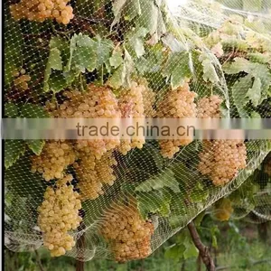 100% Virgin Pure HDPE Anti-hail Net thumbnail-3