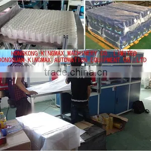 Empty 4L Lubricant Oil Bottle Bag Packing Machine thumbnail-1