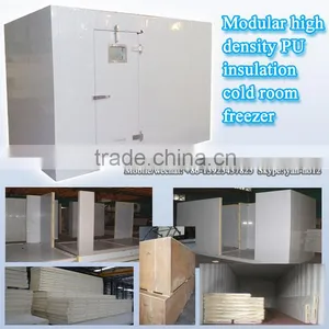 Modular High Density PU Insulation Cold Room Freezer thumbnail-1