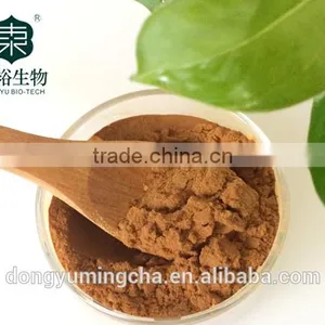 Organic Green Tea Extract for Food Supplements 98% /90%/ 80% Polyphenols thumbnail-2