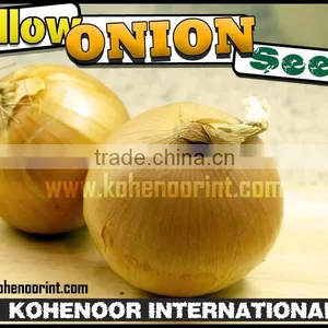 TOP QUALITY YELLOW ONION SEEDS thumbnail-1