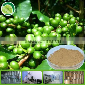 Organic Green Coffee Bean Extract Chlorogenic Acids thumbnail-1