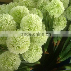 Plastic Ball Allium thumbnail-1