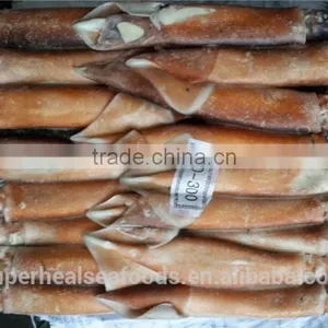 Frozen Argentina Illex Squid thumbnail-3