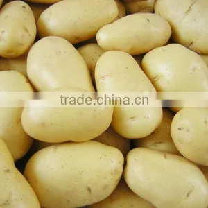 FRESH POTATO thumbnail-1