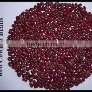 Crop 2012 Red Cowpeas thumbnail-1