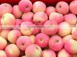 2012 Fresh Green Gala Apple Seller thumbnail-1