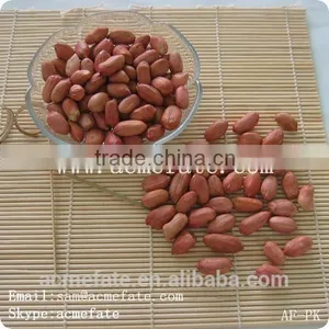 Chinese HACCP Certification Long Type Blanched Red Skin Peanut Kernels thumbnail-4