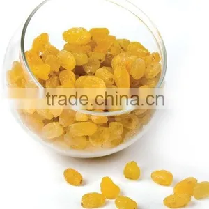 INDIAN ORIGIN QUALITY SEEDLESS GOLDEN RAISIN thumbnail-4