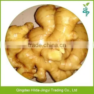 2015 Fresh Ginger Wholesale Fresh Ginger thumbnail-1