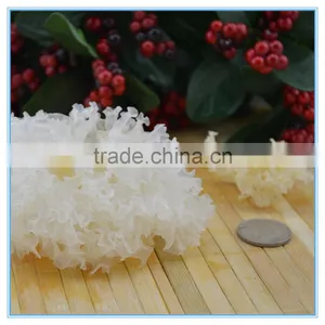 Chinese Chrysanthemum Mushroom Tremella Fuciformis thumbnail-2