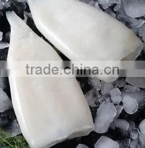 Frozen IQF Todarodes Pacificus Squid Tube thumbnail-1