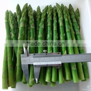 Frozen Asparagus thumbnail-4