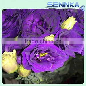 2016 Hot Selling Fresh Cut Flowers Purple Eustoma Purple Flower thumbnail-2