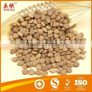 Bitter Apricot Kernel 2015 Crop thumbnail-1