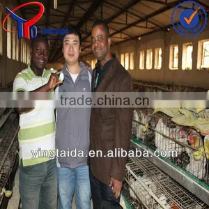 Egg Scales in South Africa thumbnail-1