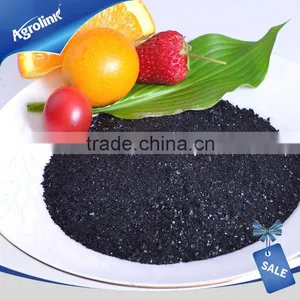 Rich In Enough Organic Matter Seaweed Extract Used in Vegetable Garden Fertilizer thumbnail-3