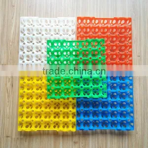 China High Quality Plastic Egg Tray for 30 Chicken Eggs thumbnail-1
